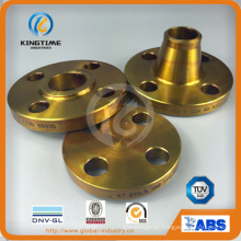 ASME b 16.5 A105n forjado Flange Flange cega com TUV (KT0062)